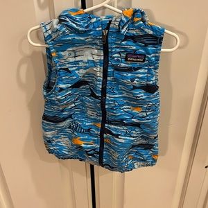 Patagonia 3t vest.